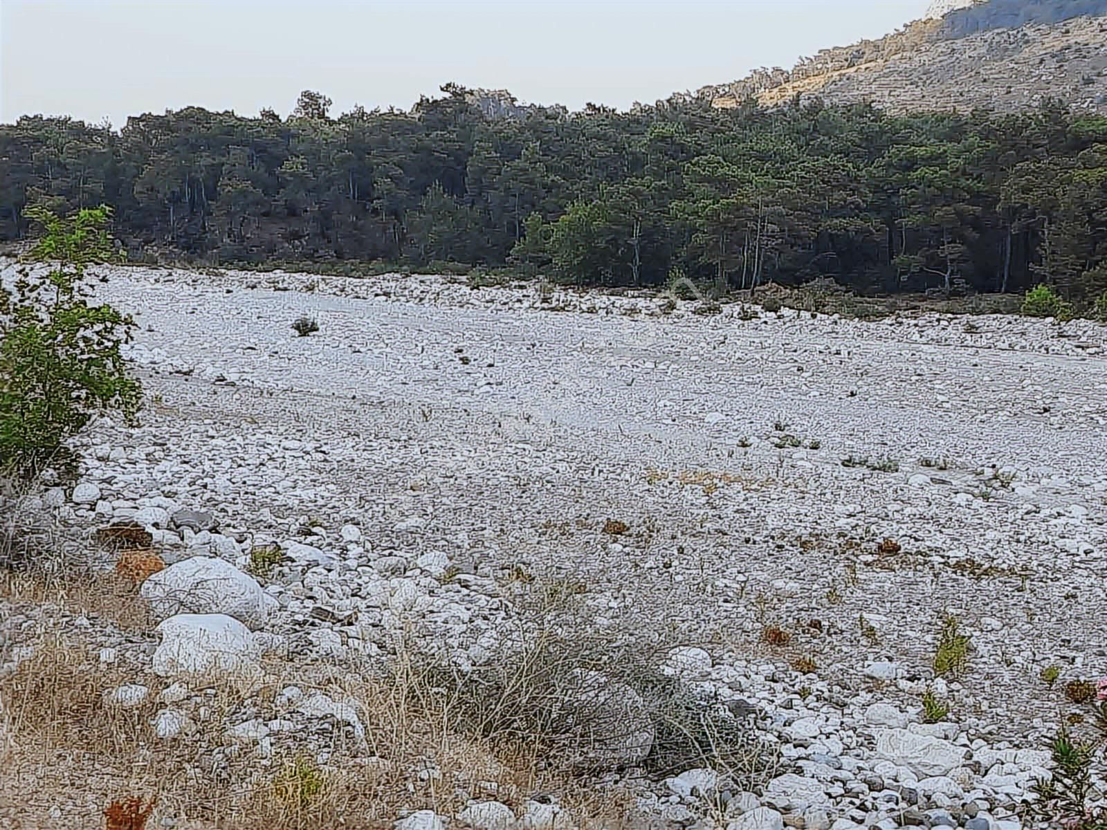 Hacisekiler Muhteşem Manzaralı Tek Tapulu Satılık Tarla - Görsel 17