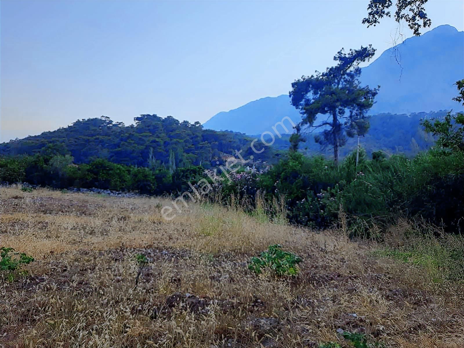 Hacisekiler Muhteşem Manzaralı Tek Tapulu Satılık Tarla - Görsel 12