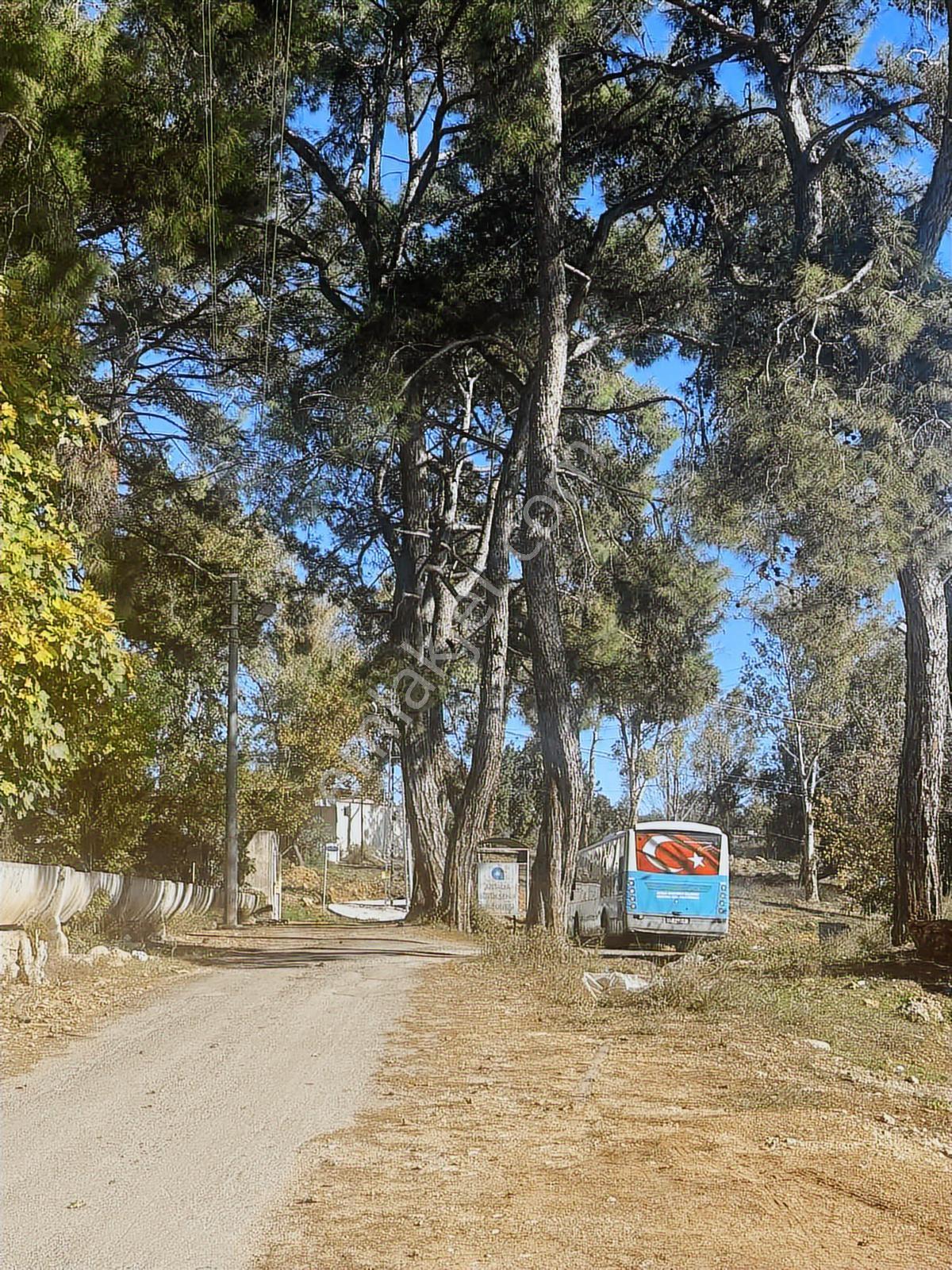 Konyaaltı Aşağıkaramanda Kiralık 1.100 M2 Sera Tarlamız - Görsel 9