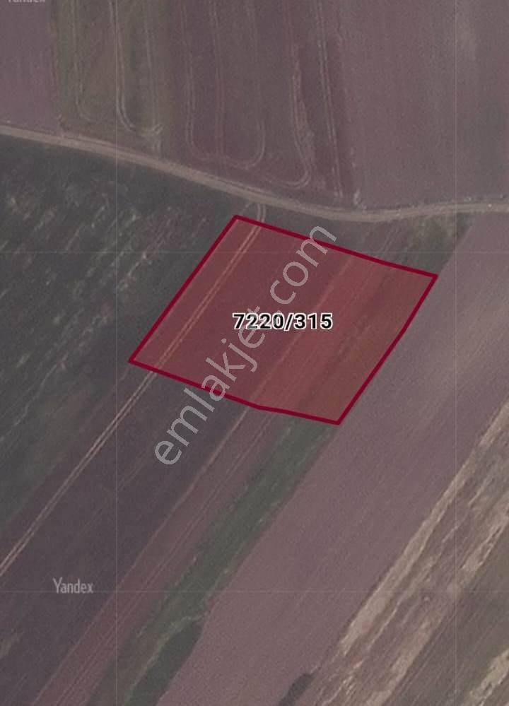 Silivri Kadıköy'de Kuzey Marmara Otoyoluna Yakın Hisseli Tarla - Görsel 2