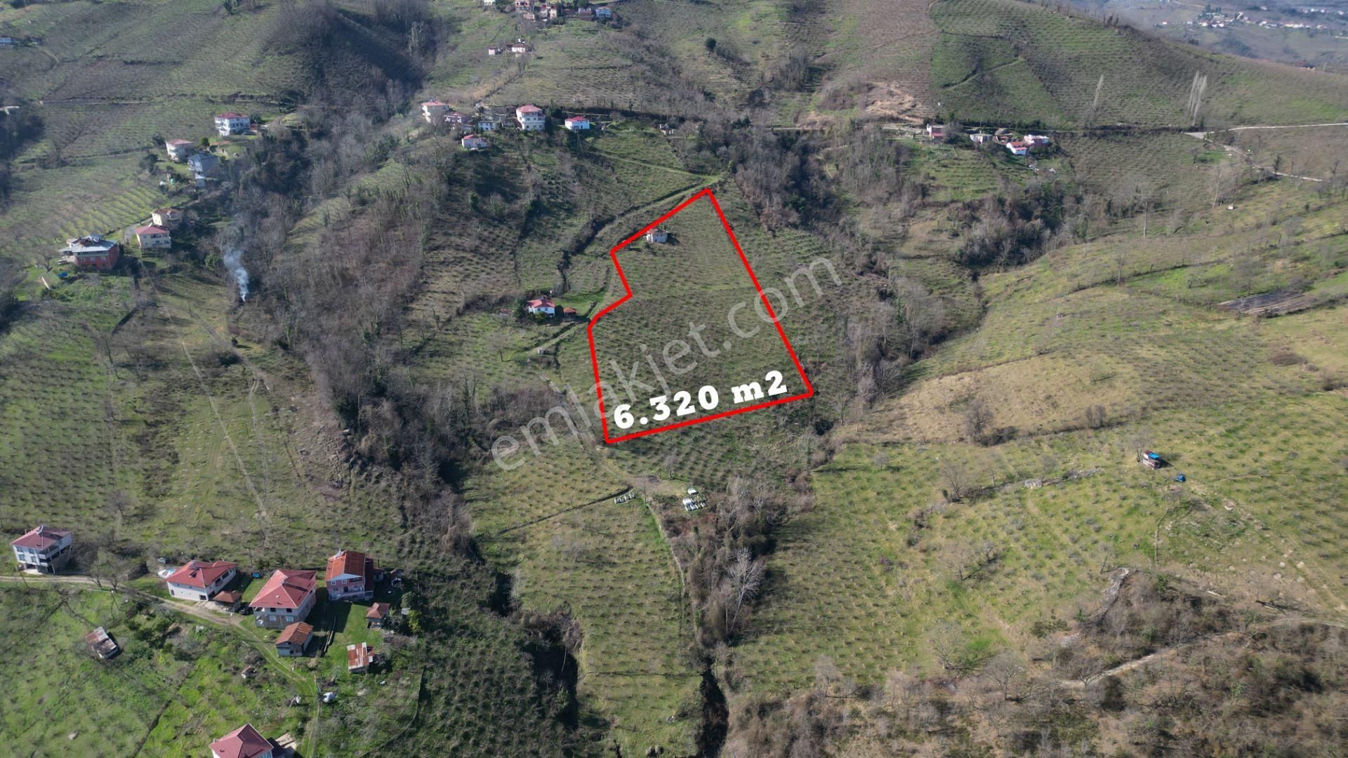 🌿 Century21'den Ordu Neneli Mahallesi’nde Doğayla İç İçe Satılık Fındık Bahçesi Ve Ev - Görsel 5