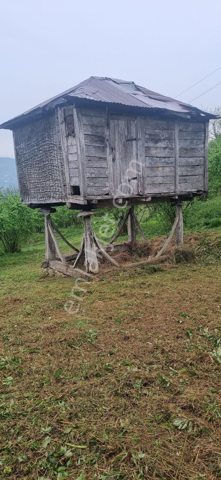 🌿 Century21'den Ordu Neneli Mahallesi’nde Doğayla İç İçe Satılık Fındık Bahçesi Ve Ev - Görsel 20