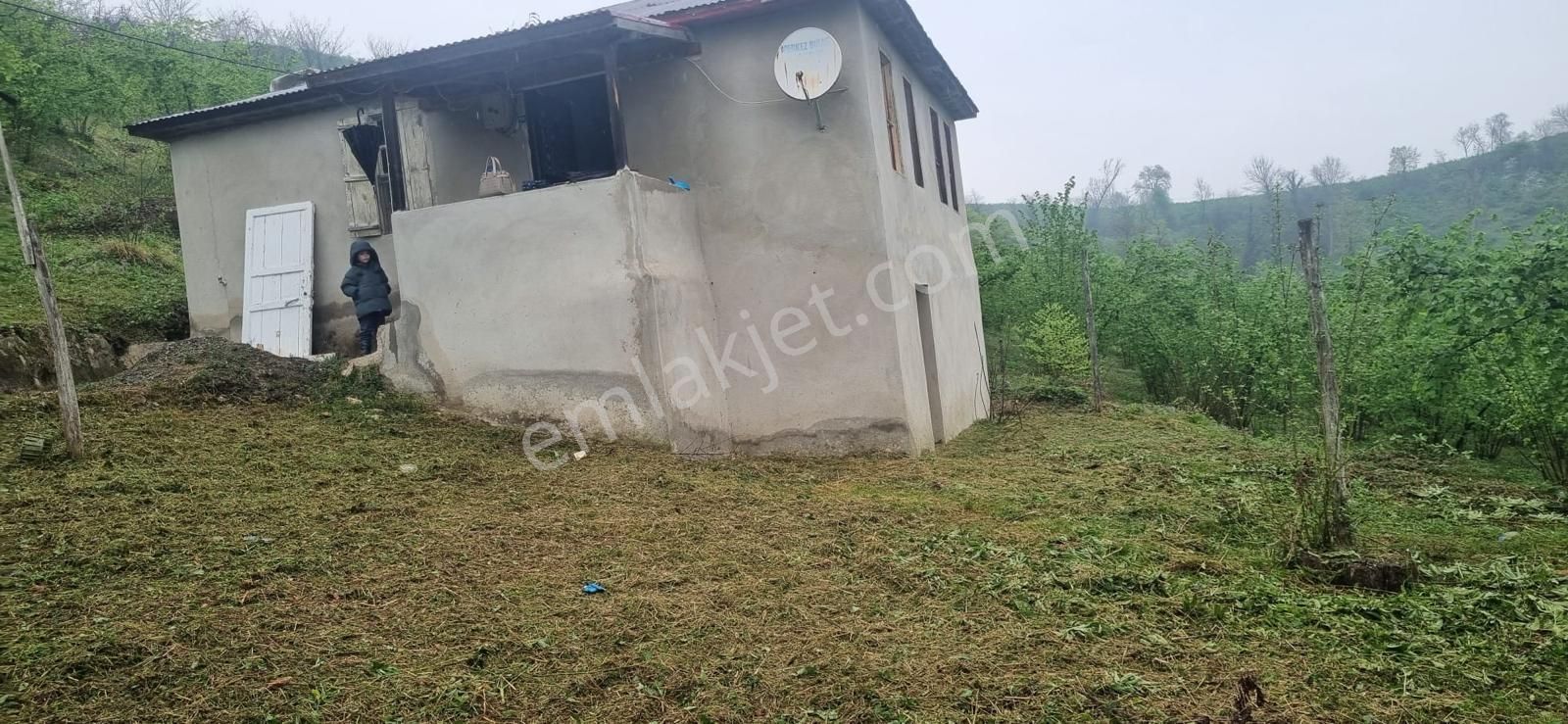 🌿 Century21'den Ordu Neneli Mahallesi’nde Doğayla İç İçe Satılık Fındık Bahçesi Ve Ev - Görsel 17