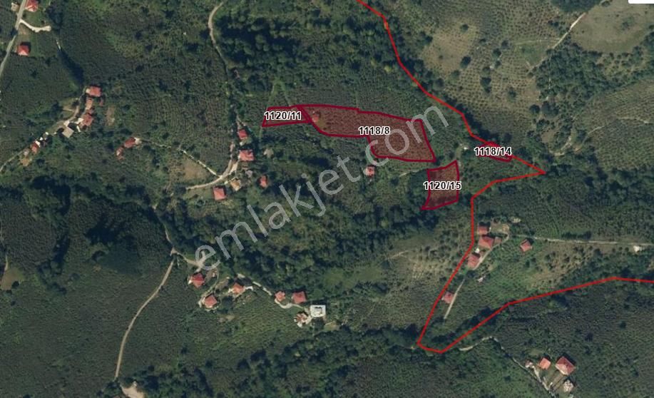 🌿 Century21'den Ordu Neneli Mahallesi’nde Doğayla İç İçe Satılık Fındık Bahçesi Ve Ev - Görsel 6