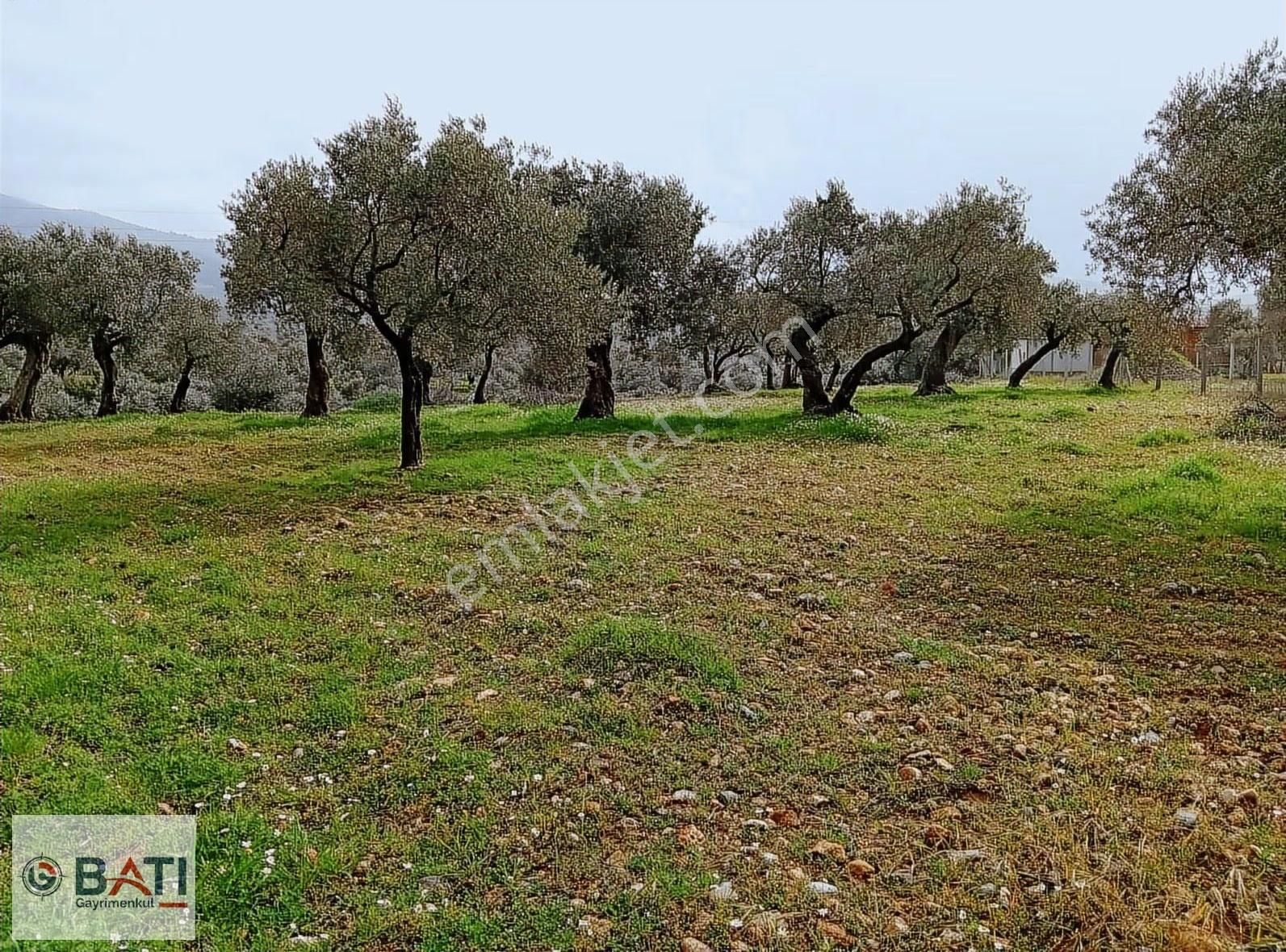 Torbalı Batı Gayrimenkul Den Dağkızılca Da Tarla