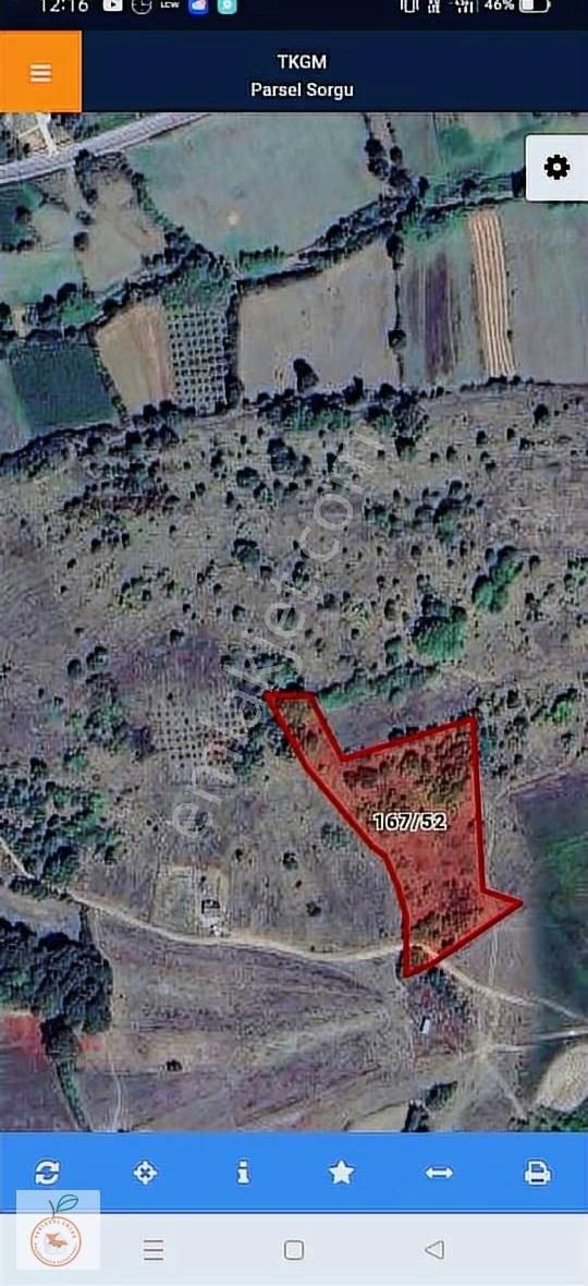 Kocaeli Kandıra Kurtyeri'nde Kadastral Yola Cephe Satılık Tarla - Görsel 3