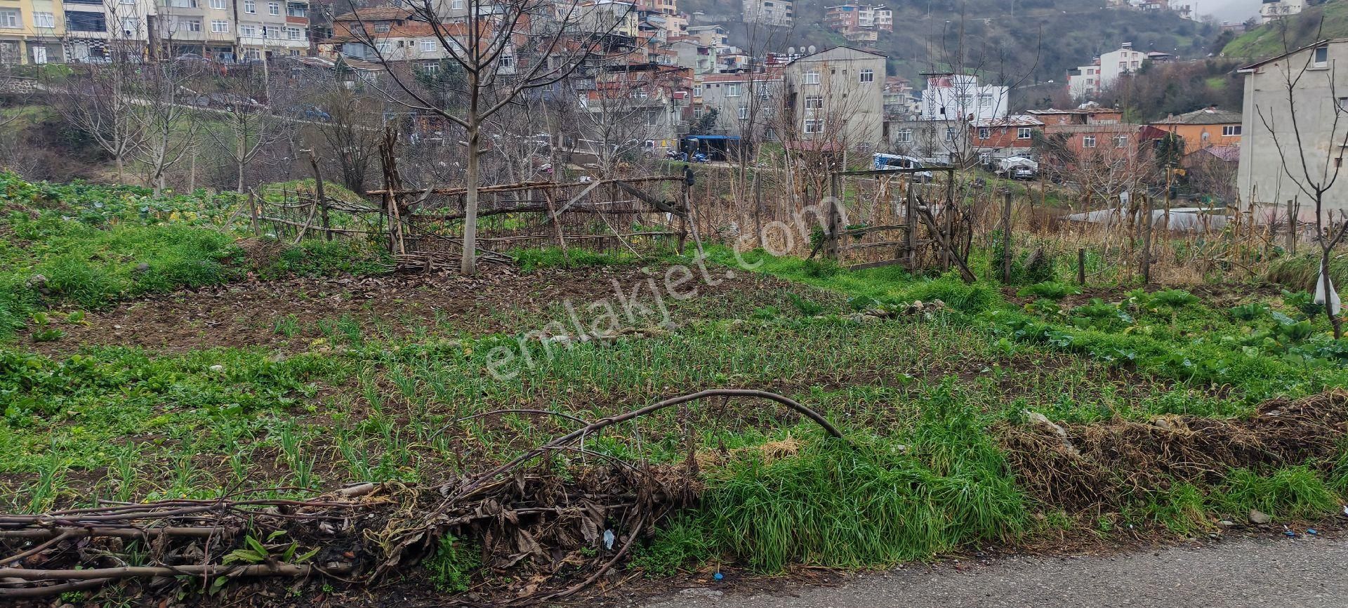 Samsun Canik Hacıısmaıl De Satilik 4parsel 4 Kata İmarlı Satıkıkarsa - Görsel 5
