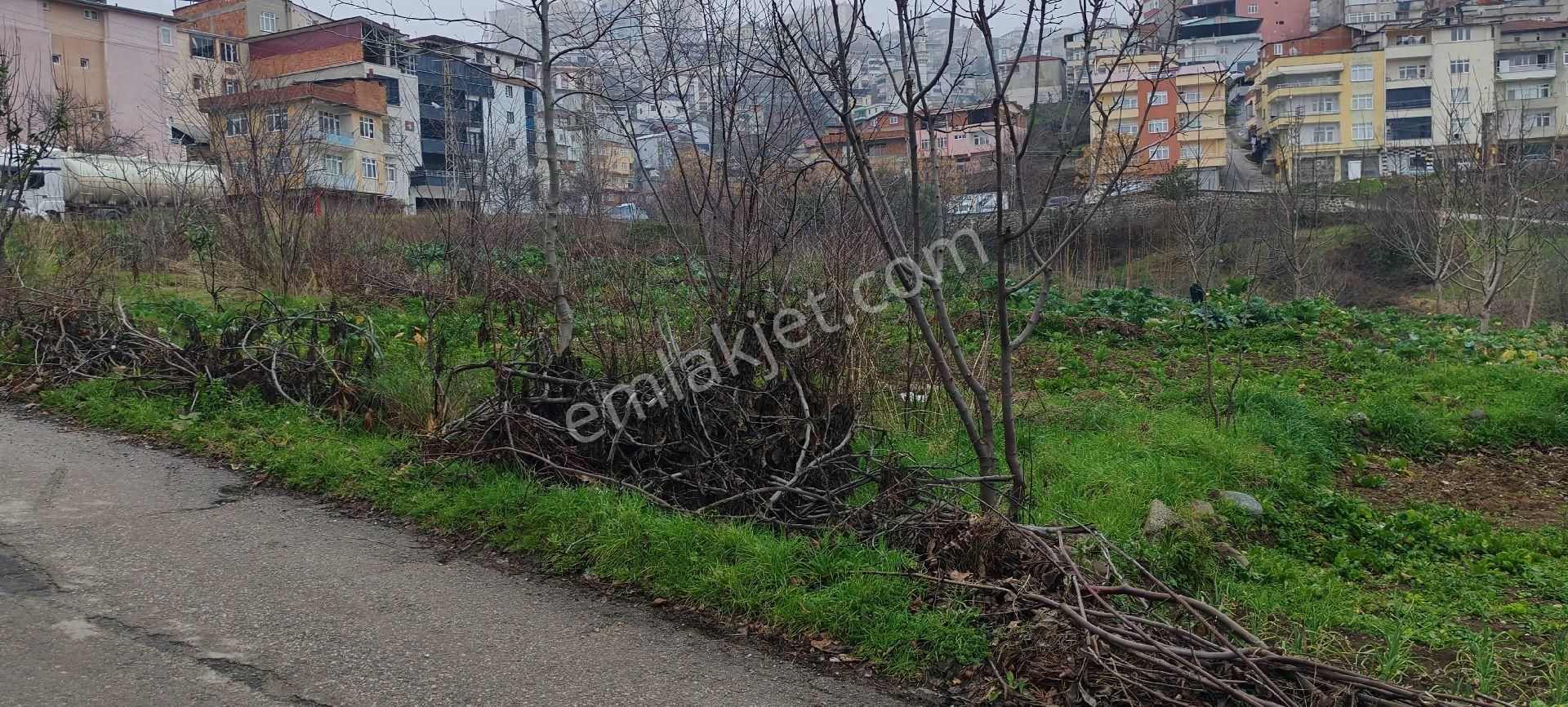 Samsun Canik Hacıısmaıl De Satilik 4parsel 4 Kata İmarlı Satıkıkarsa