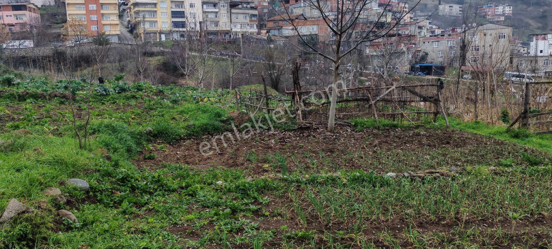 Samsun Canik Hacıısmaıl De Satilik 4parsel 4 Kata İmarlı Satıkıkarsa - Görsel 6