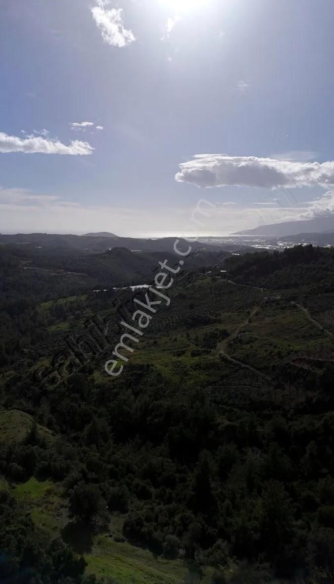 07 Truva Emlaktan Kumluca İncircikte Satılık Arsaa - Görsel 24