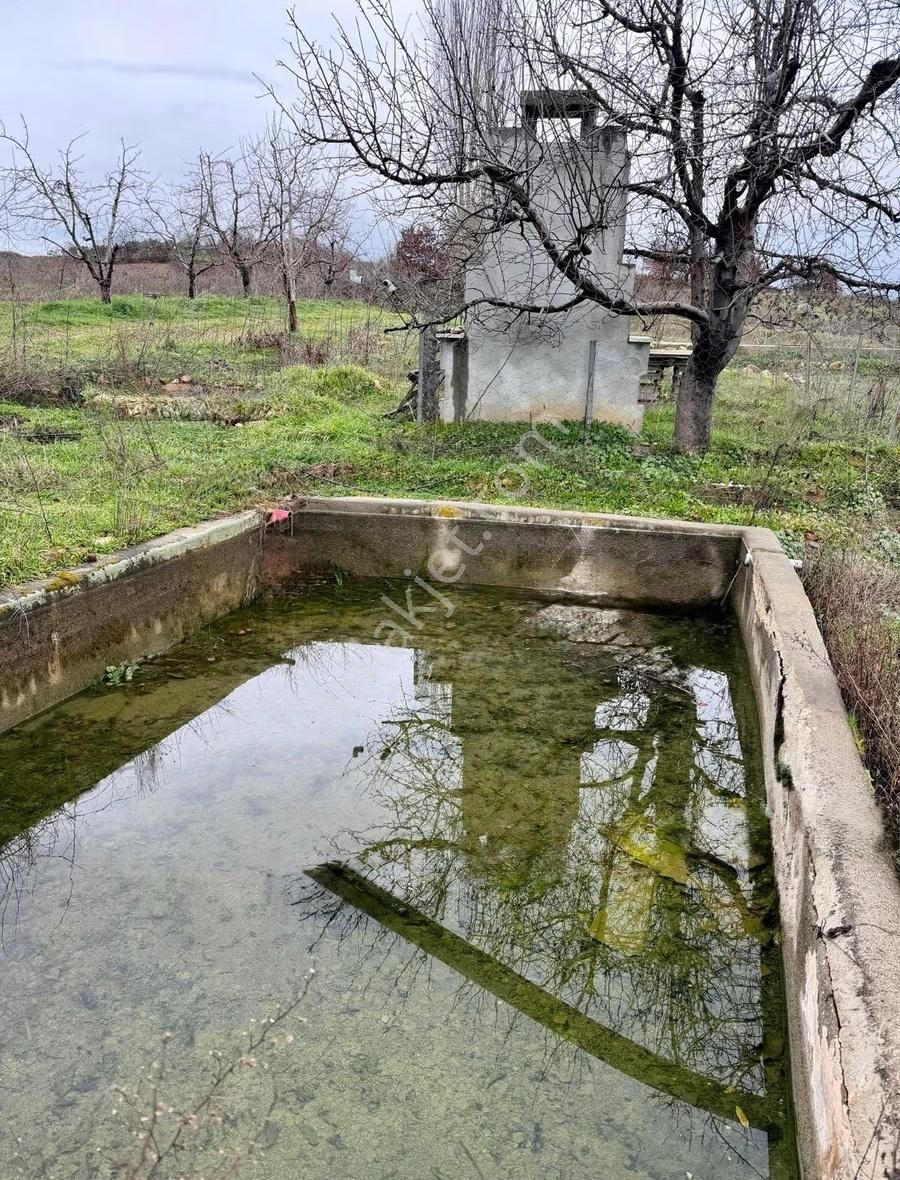 07 Truva Emlaktan Çanakkale Mollahasanlar Da Satılık Tarla - Görsel 20