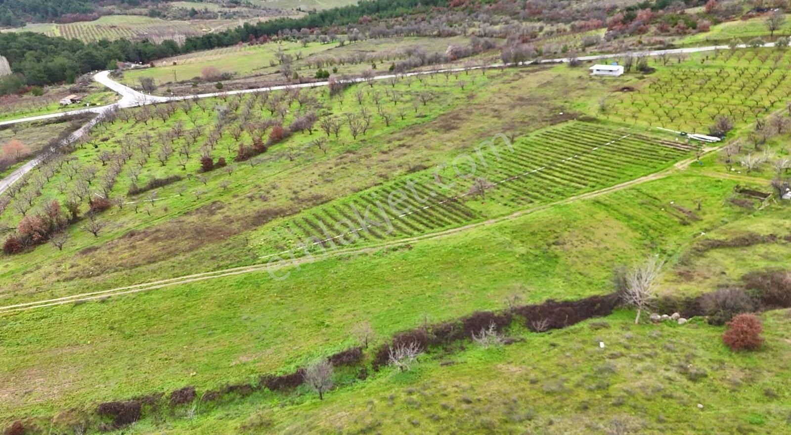 07 Truva Emlaktan Çanakkale Mollahasanlar Da Satılık Tarla - Görsel 28