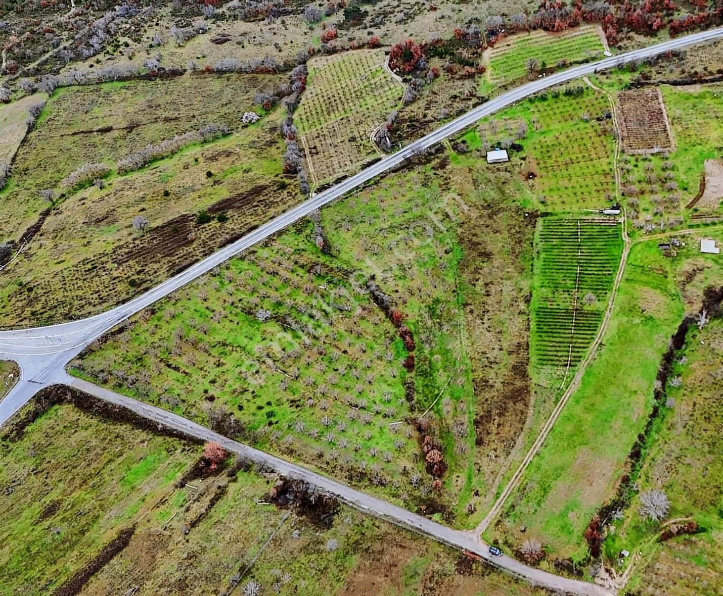 07 Truva Emlaktan Çanakkale Mollahasanlar Da Satılık Tarla - Görsel 2