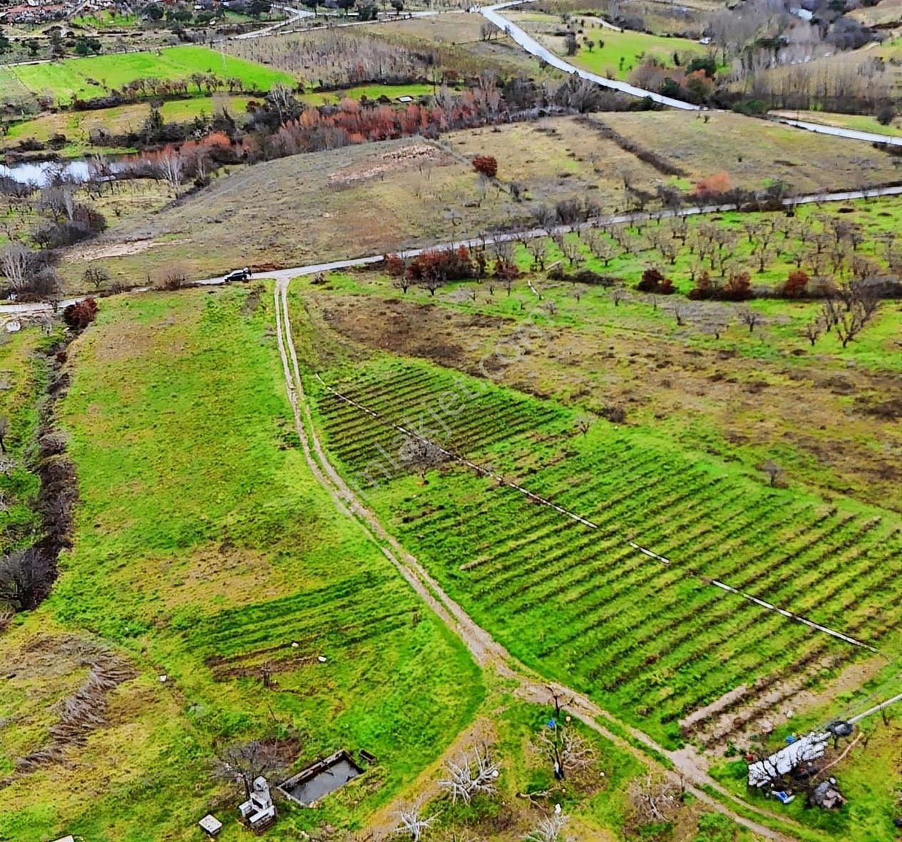 07 Truva Emlaktan Çanakkale Mollahasanlar Da Satılık Tarla - Görsel 15