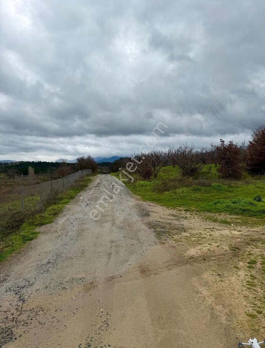 07 Truva Emlaktan Çanakkale Mollahasanlar Da Satılık Tarla - Görsel 18