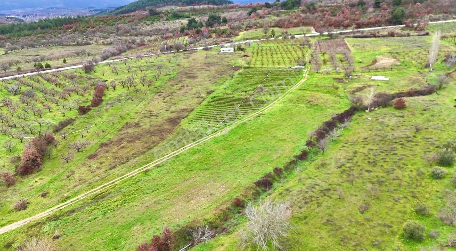 07 Truva Emlaktan Çanakkale Mollahasanlar Da Satılık Tarla - Görsel 27
