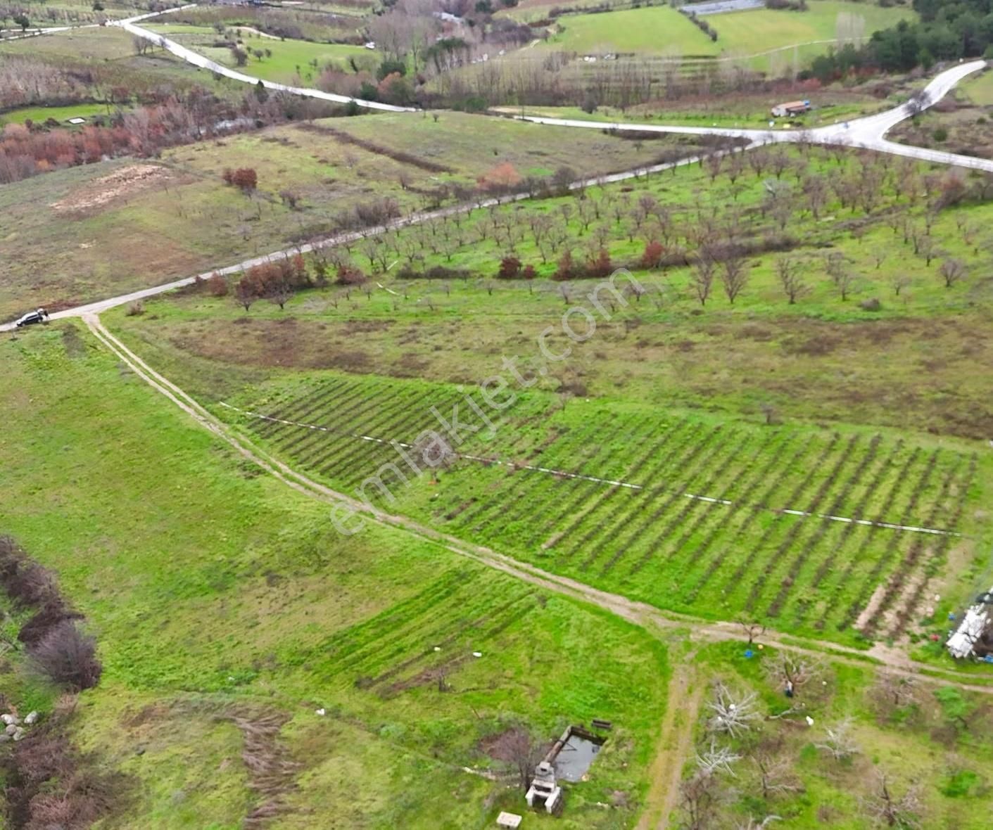 07 Truva Emlaktan Çanakkale Mollahasanlar Da Satılık Tarla - Görsel 16