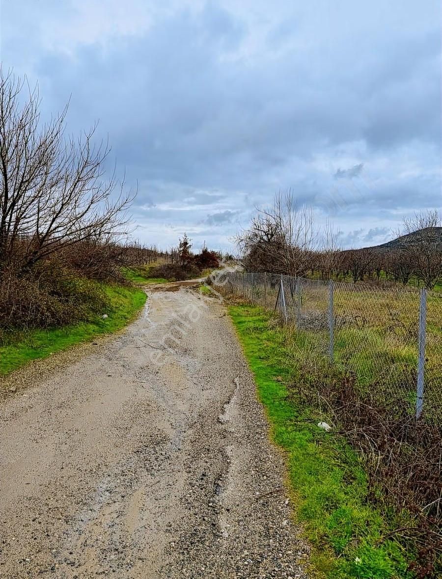 07 Truva Emlaktan Çanakkale Mollahasanlar Da Satılık Tarla - Görsel 33