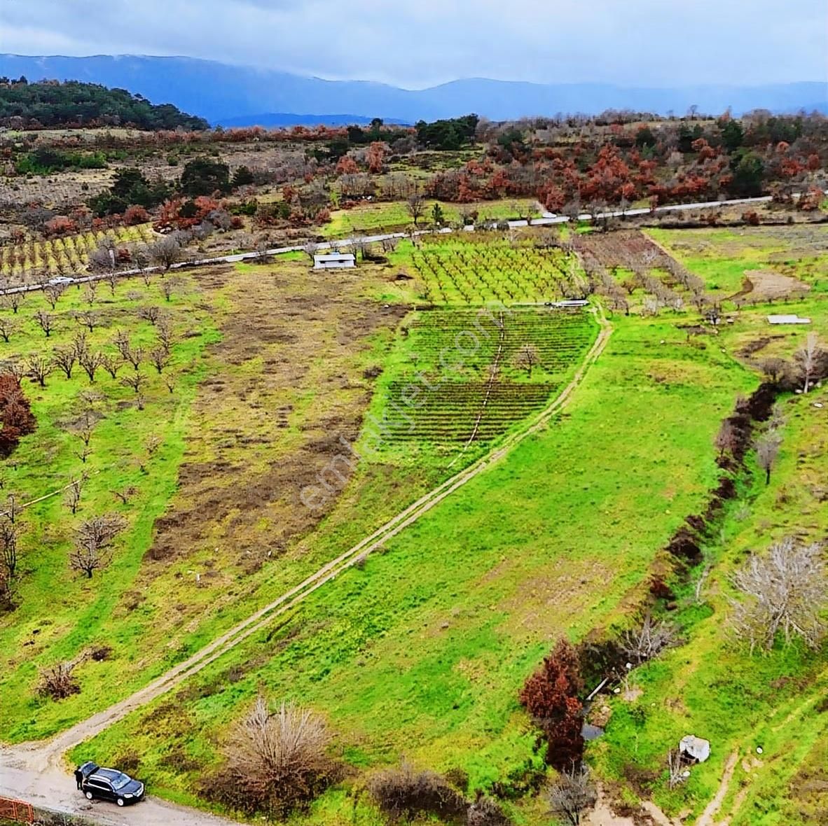 07 Truva Emlaktan Çanakkale Mollahasanlar Da Satılık Tarla - Görsel 22