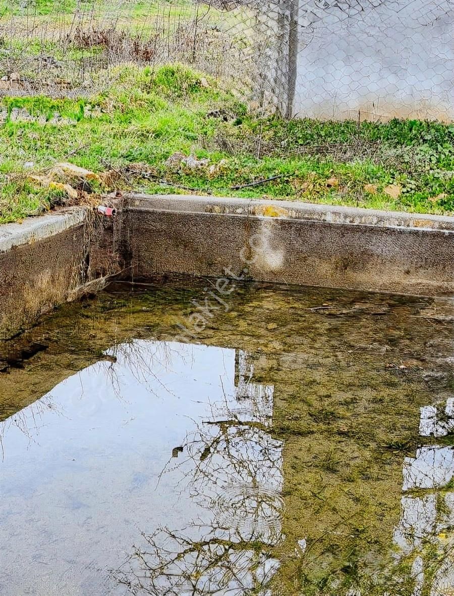 07 Truva Emlaktan Çanakkale Mollahasanlar Da Satılık Tarla - Görsel 17