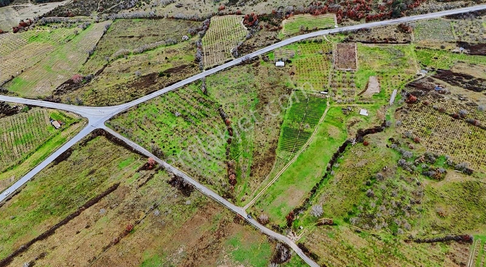 07 Truva Emlaktan Çanakkale Mollahasanlar Da Satılık Tarla - Görsel 8