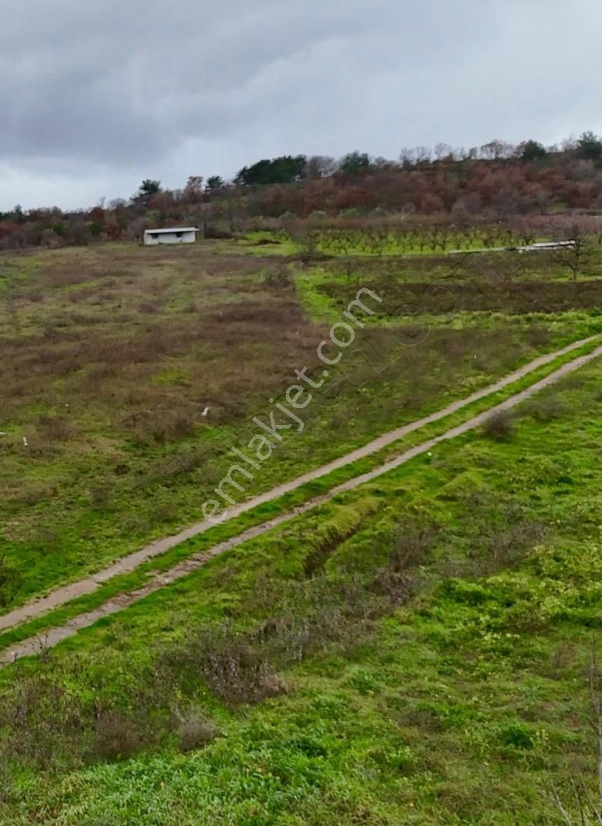 07 Truva Emlaktan Çanakkale Mollahasanlar Da Satılık Tarla - Görsel 25