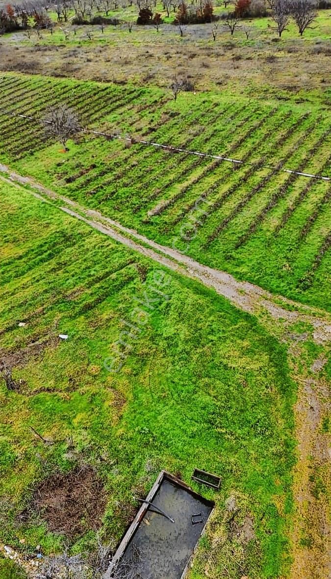 07 Truva Emlaktan Çanakkale Mollahasanlar Da Satılık Tarla - Görsel 32