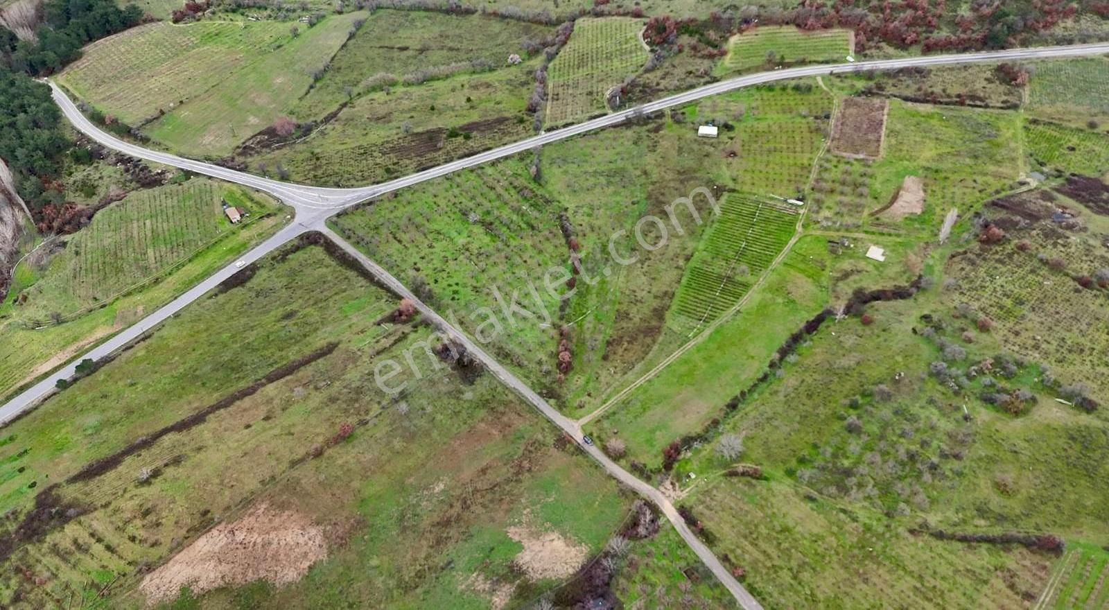 07 Truva Emlaktan Çanakkale Mollahasanlar Da Satılık Tarla - Görsel 23