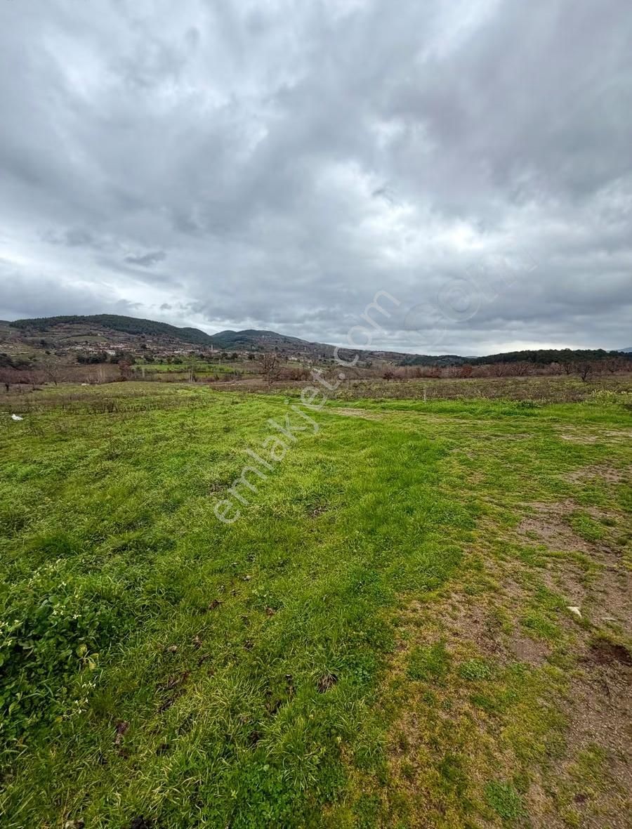 07 Truva Emlaktan Çanakkale Mollahasanlar Da Satılık Tarla - Görsel 5