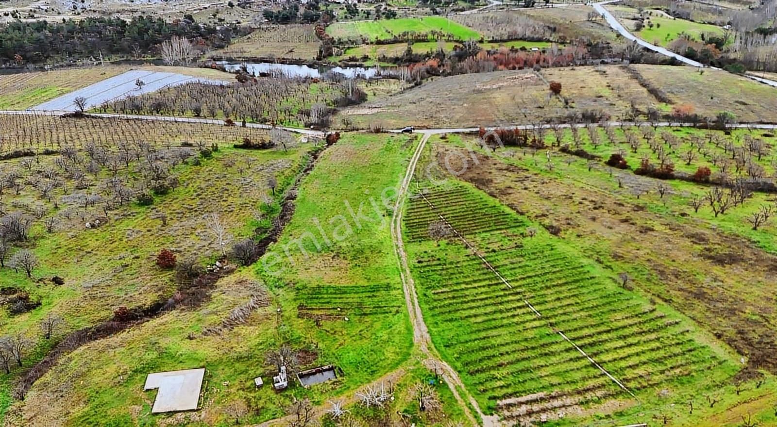07 Truva Emlaktan Çanakkale Mollahasanlar Da Satılık Tarla - Görsel 6