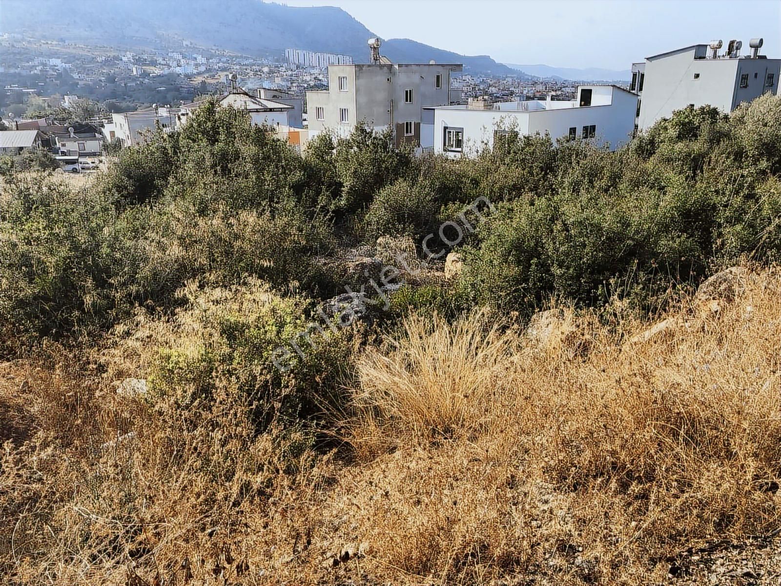 Anadolu Gayrimenkulden Ağlıboğazda Villa & Konut Arsası - Görsel 3