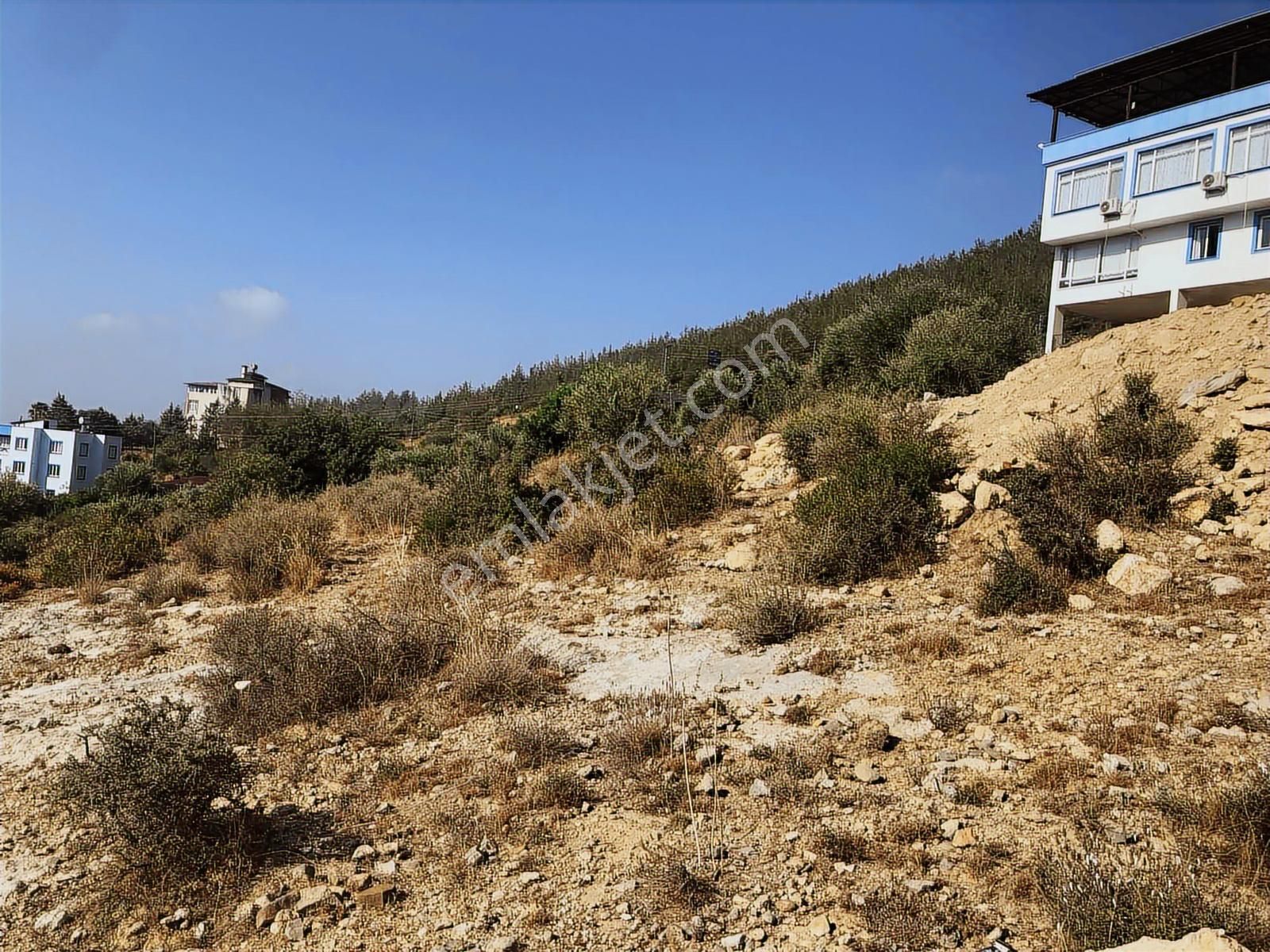 Anadolu Gayrimenkulden Diyaliz Yanı Villa & Konut Arsası - Görsel 5