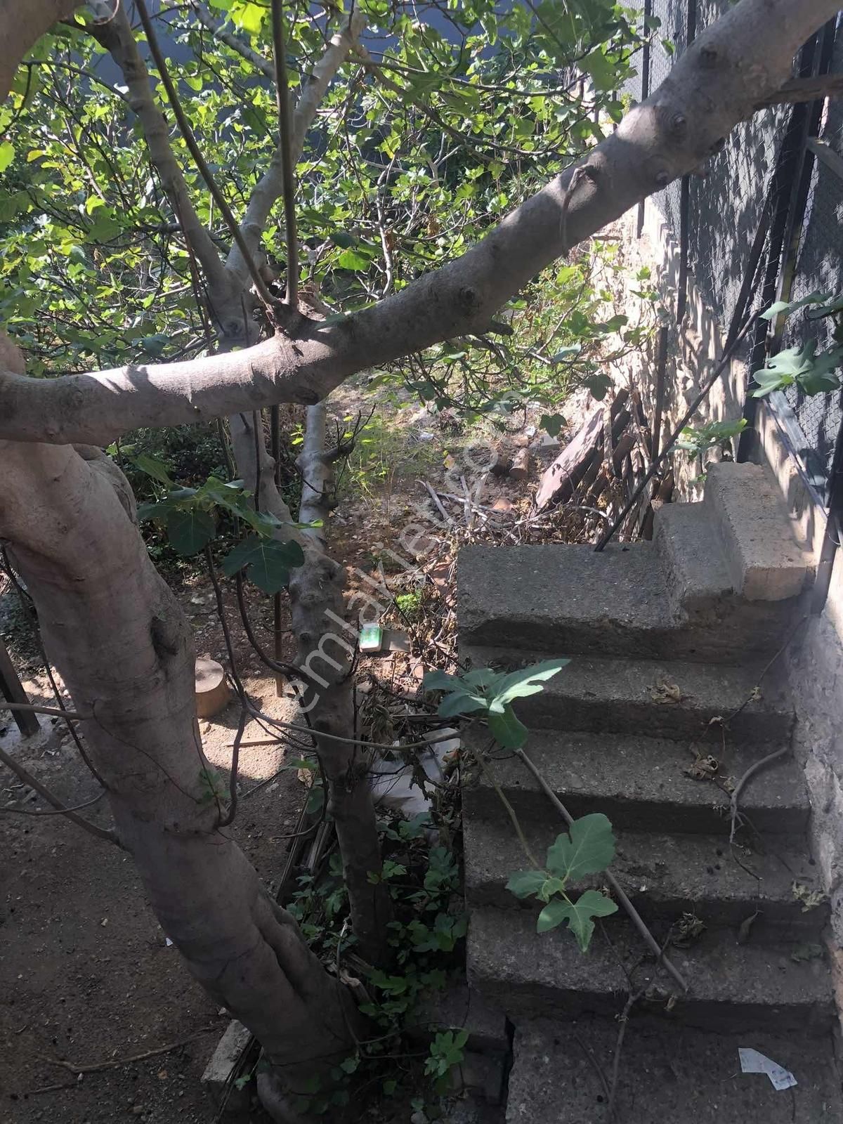 Anadolu Gayrimenkulden Adana Yoluna Cepheli Müstakil - Görsel 14