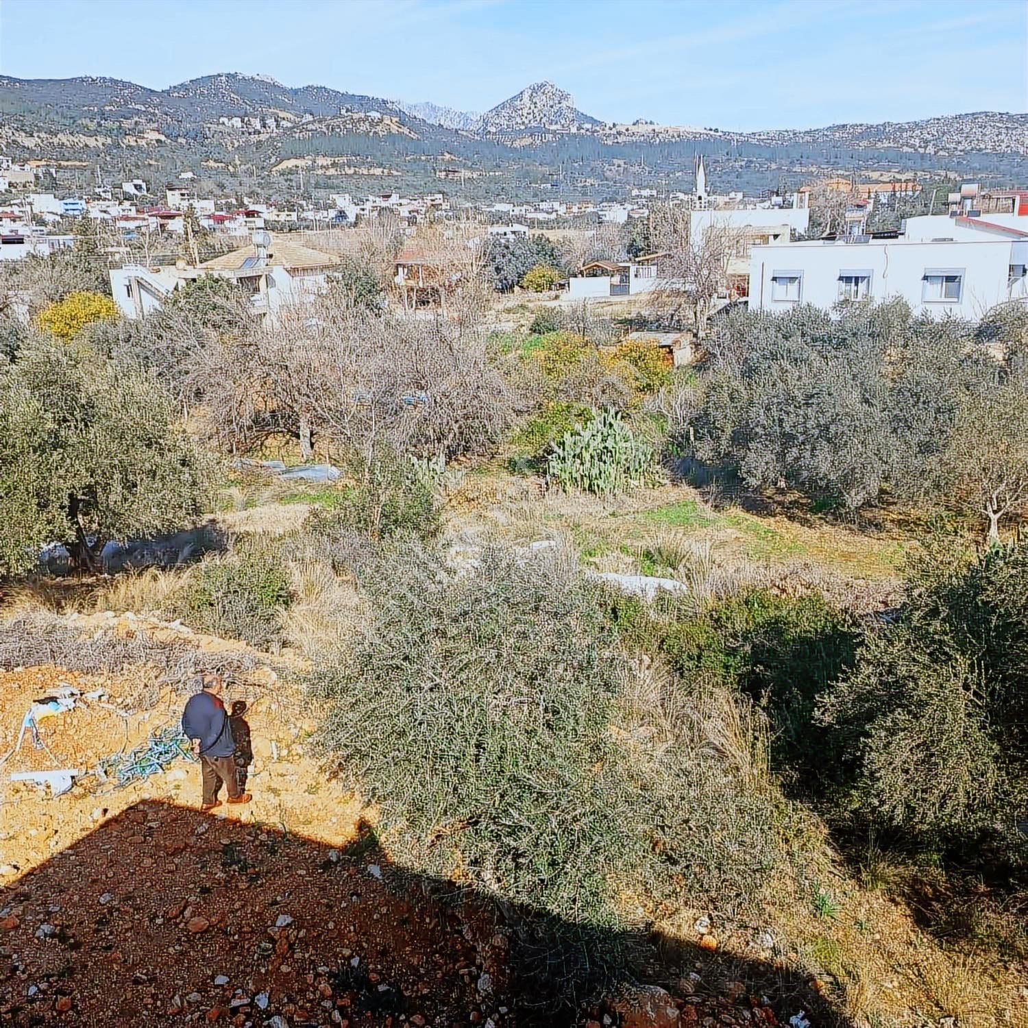 Anadolu Gayrimenkulden Ağlıboğazda Satılık Arsa - Görsel 2