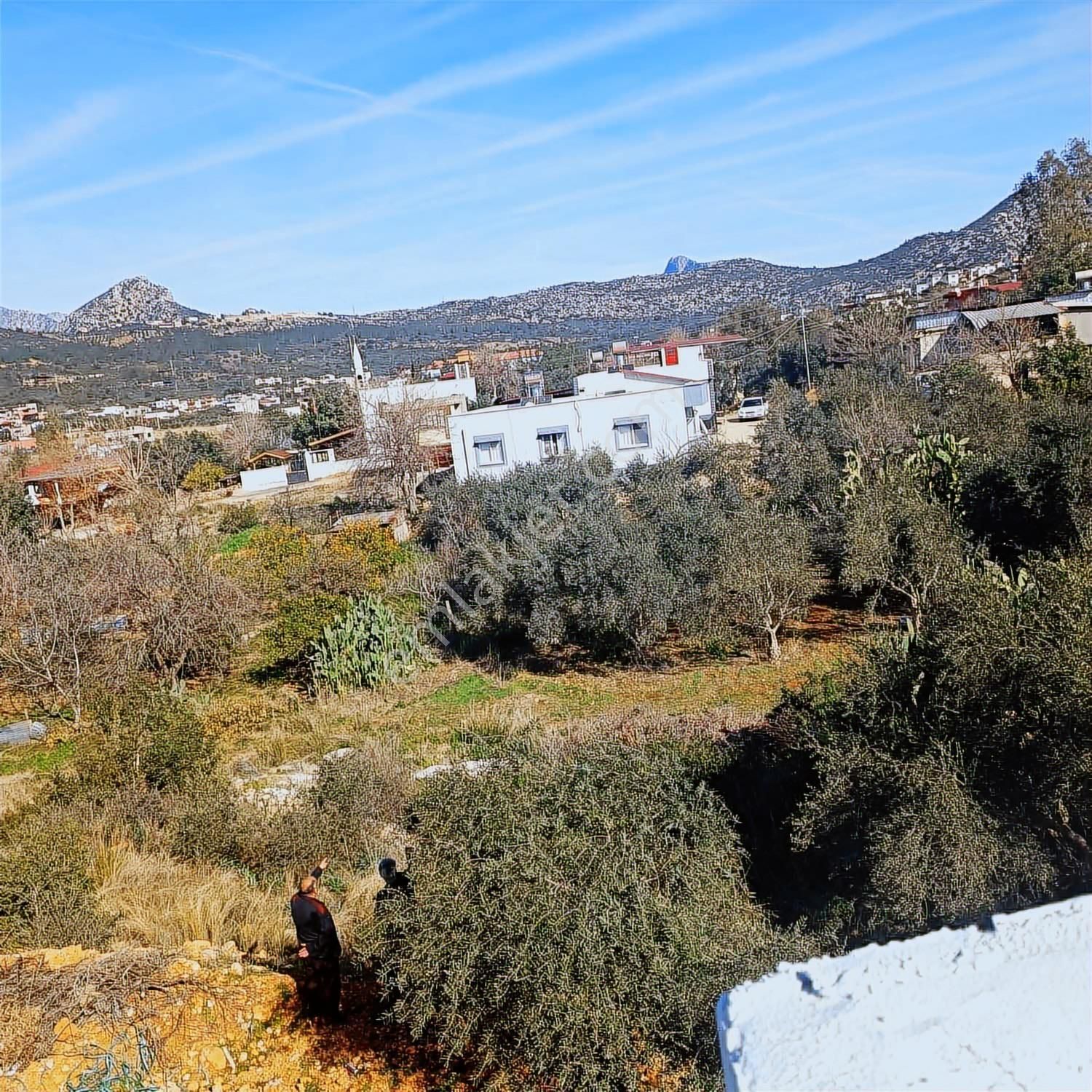 Anadolu Gayrimenkulden Ağlıboğazda Satılık Arsa - Görsel 3