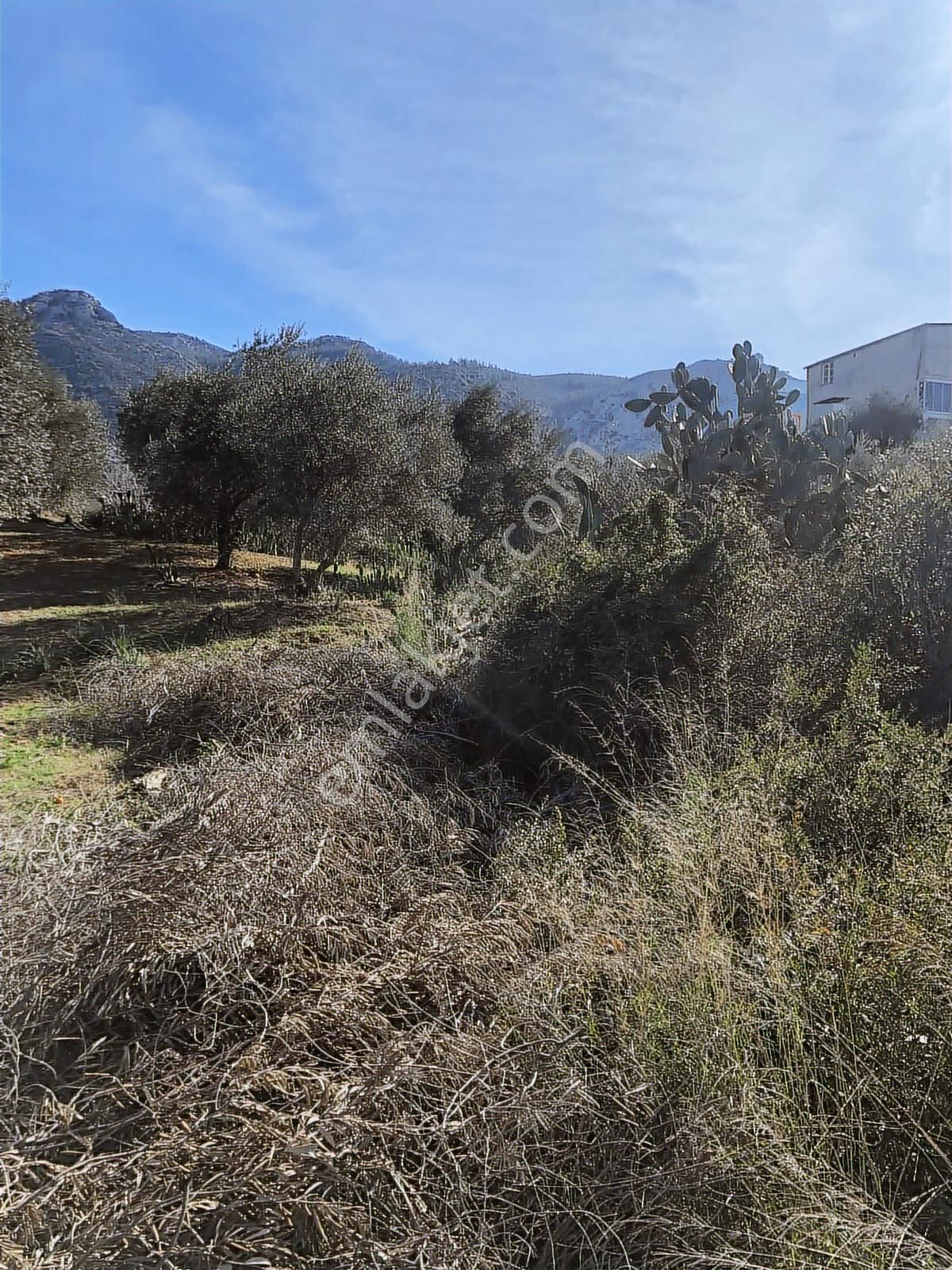 Anadolu Gayrimenkulden Ağlıboğazda Satılık Arsa - Görsel 12