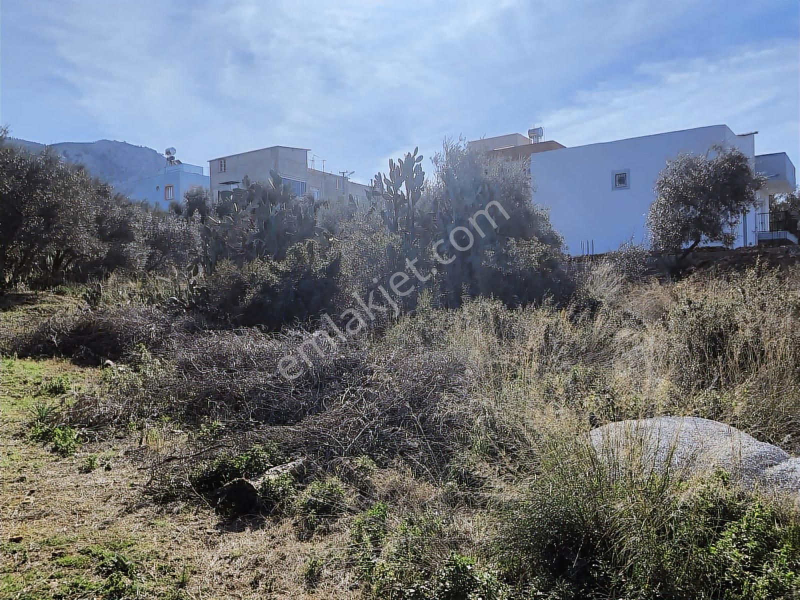 Anadolu Gayrimenkulden Ağlıboğazda Satılık Arsa - Görsel 14