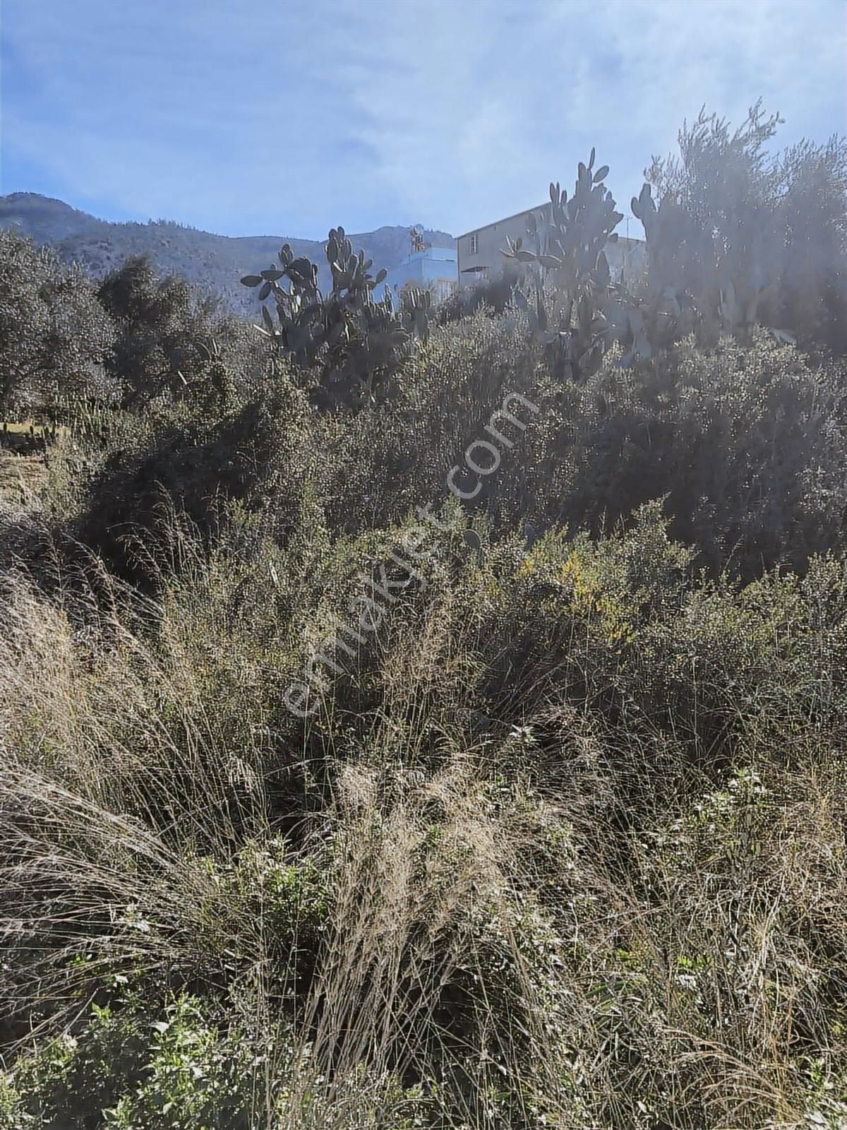 Anadolu Gayrimenkulden Ağlıboğazda Satılık Arsa - Görsel 13