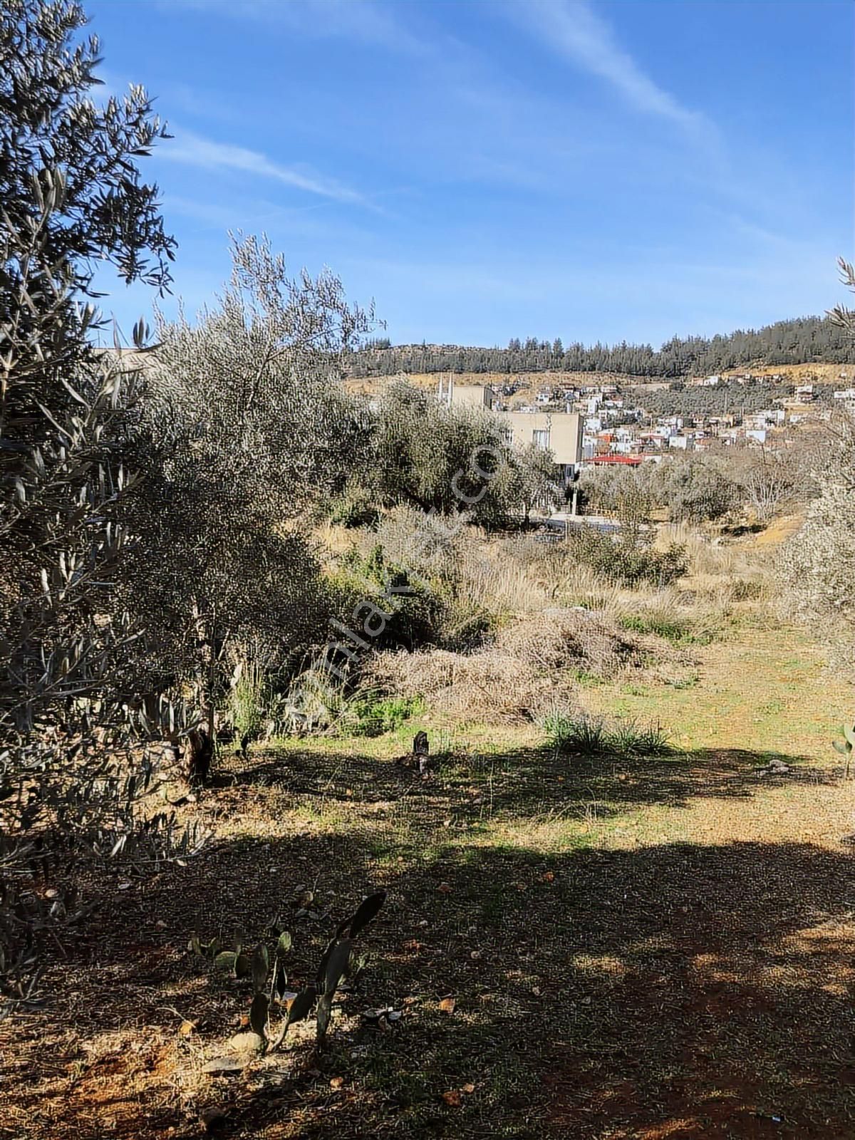 Anadolu Gayrimenkulden Ağlıboğazda Satılık Arsa - Görsel 5