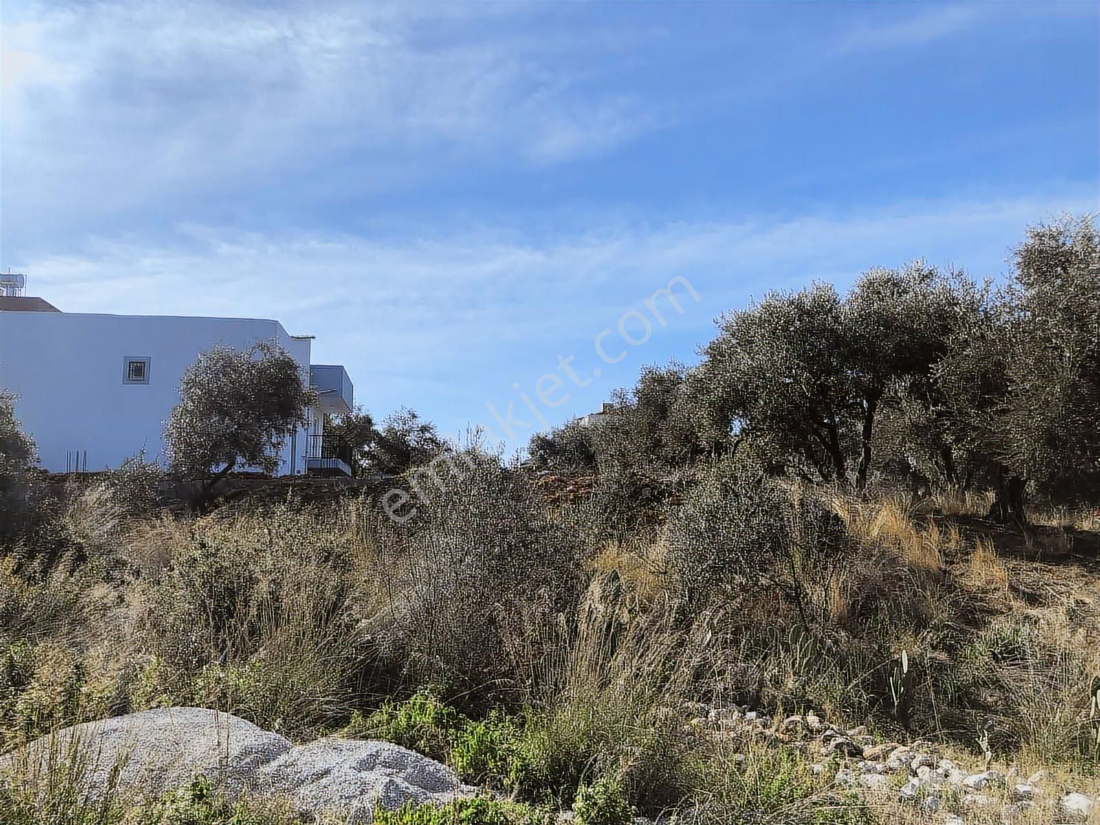 Anadolu Gayrimenkulden Ağlıboğazda Satılık Arsa - Görsel 7