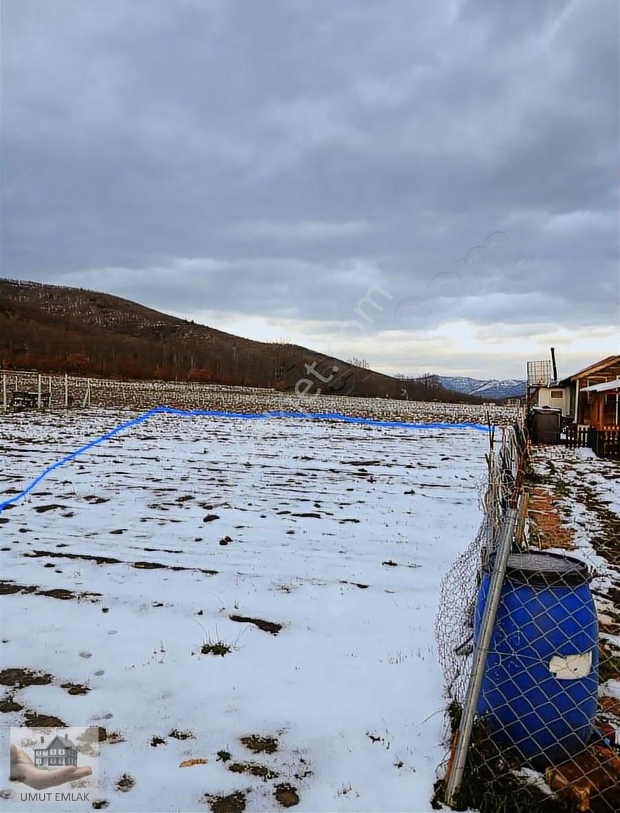 Gölcükte Hobi Bahçesi