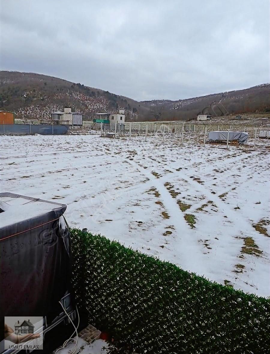 Gölcükte Hobi Bahçesi - Görsel 4