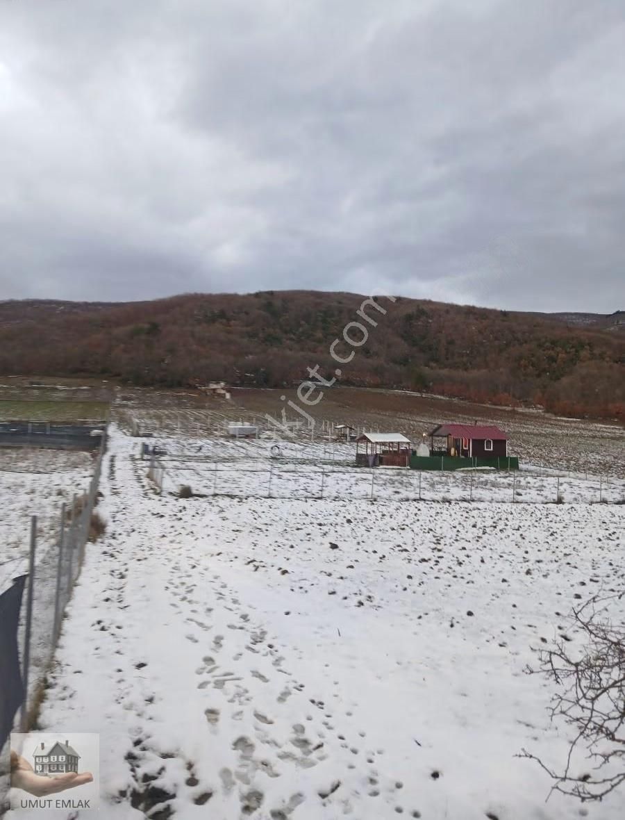 Gölcükte Hobi Bahçesi - Görsel 2