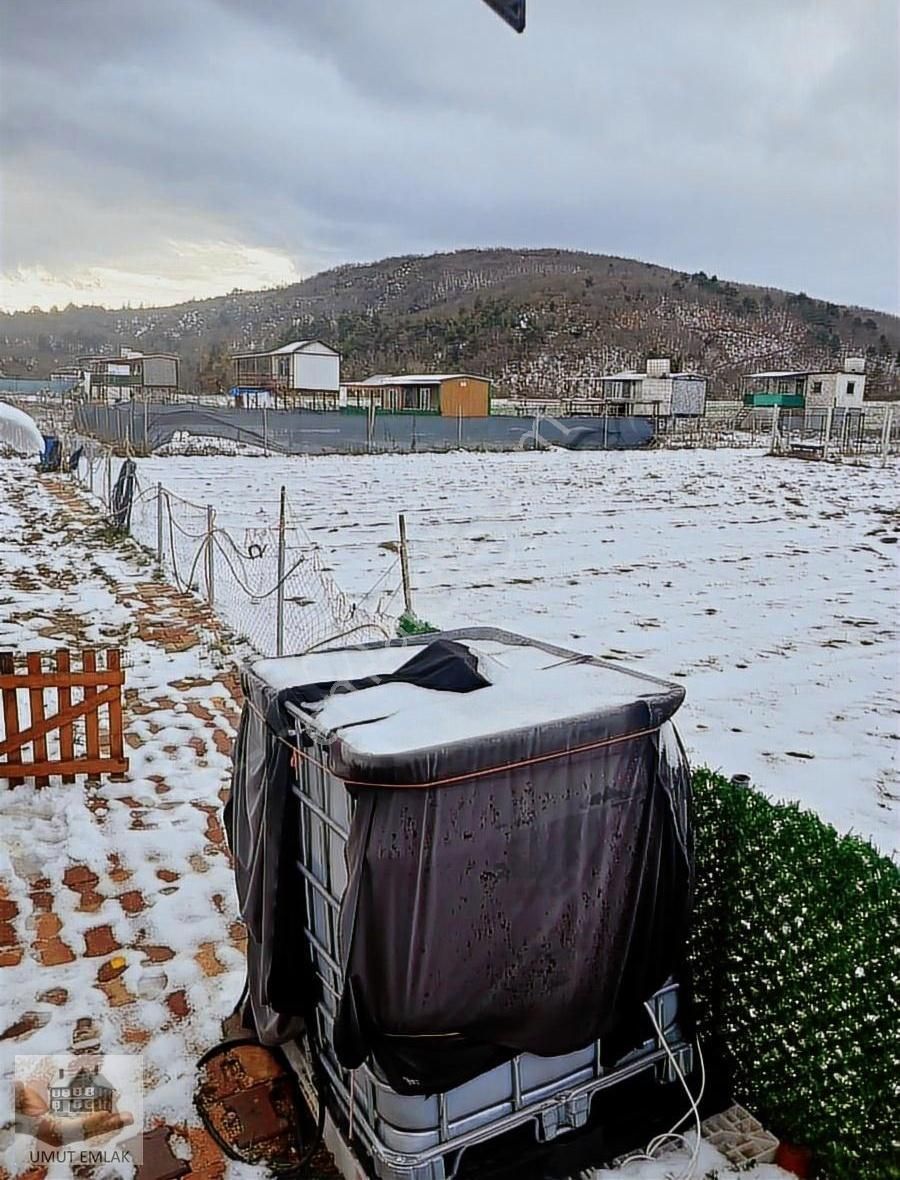 Gölcükte Hobi Bahçesi - Görsel 5