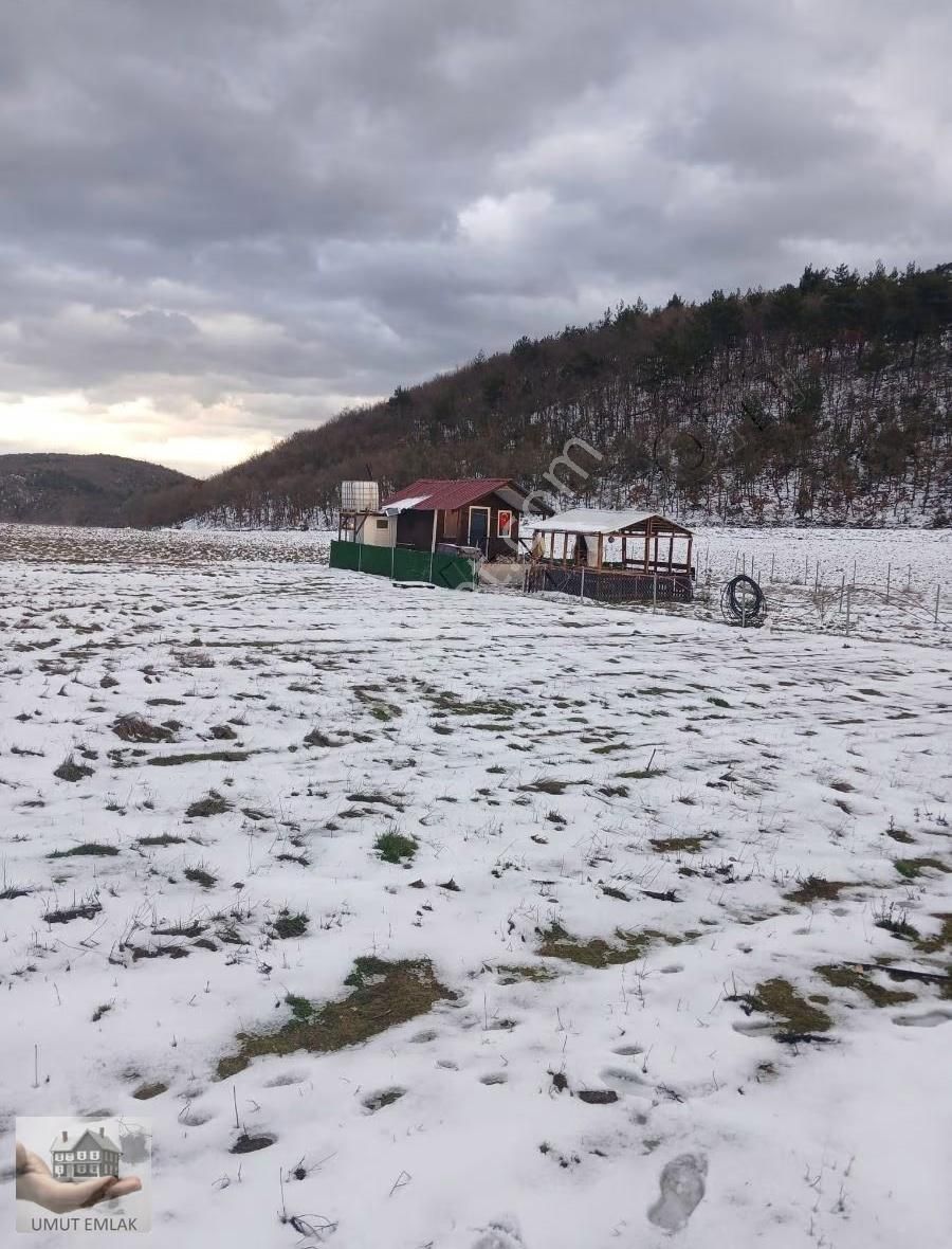 Gölcükte Hobi Bahçesi - Görsel 3