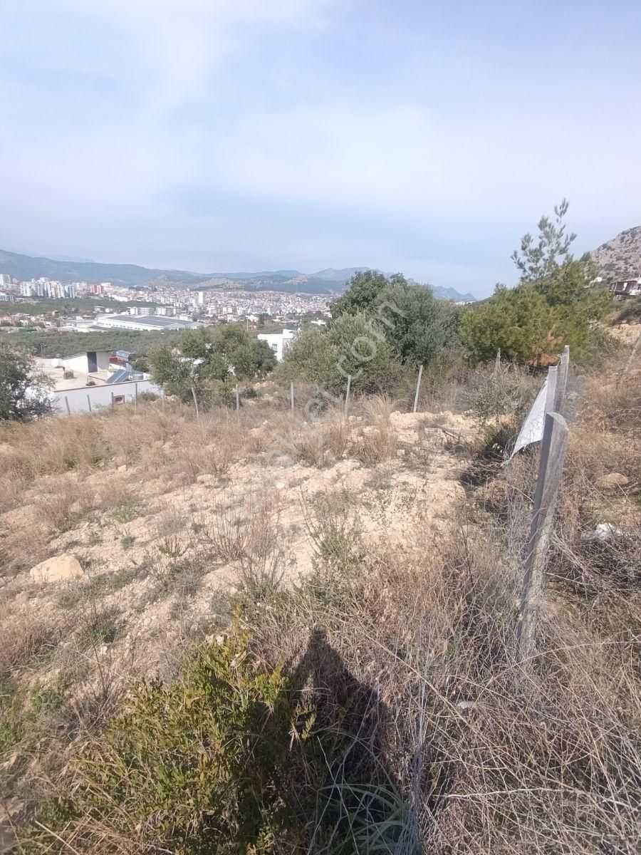 Anadolu Gayrimenkulden 5 Kata İmarlı 397 M² Aslan Paşa - Görsel 14