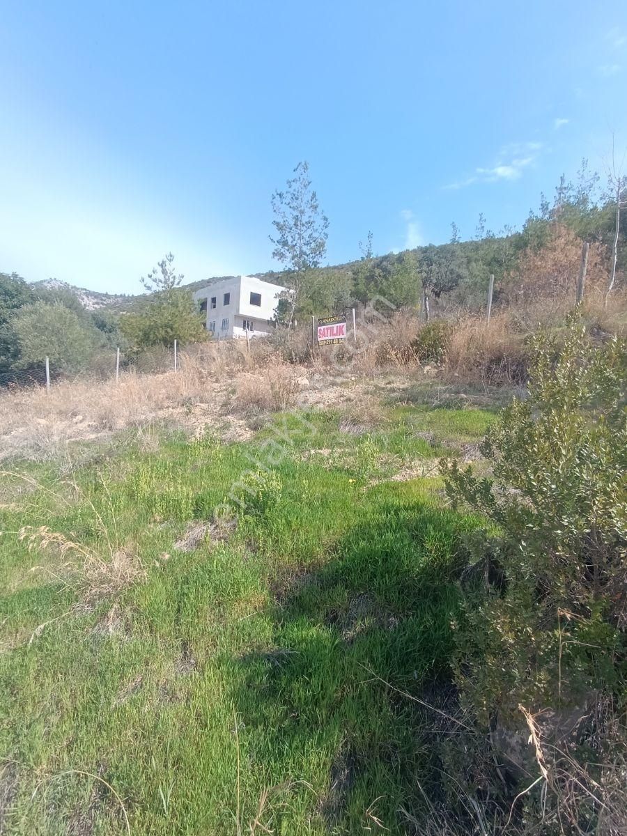 Anadolu Gayrimenkulden 5 Kata İmarlı 397 M² Aslan Paşa - Görsel 15