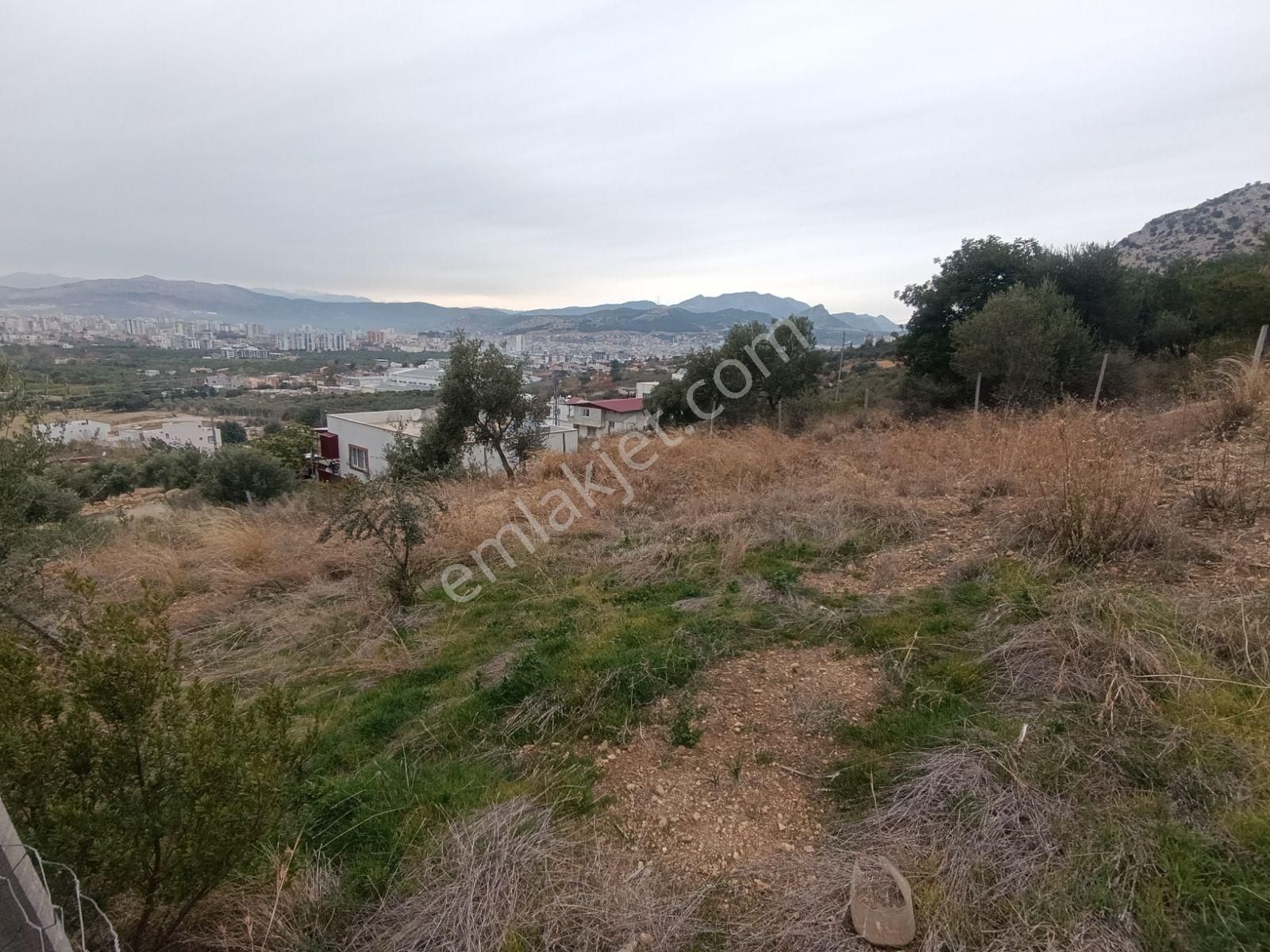 Anadolu Gayrimenkulden 5 Kata İmarlı 397 M² Aslan Paşa - Görsel 12