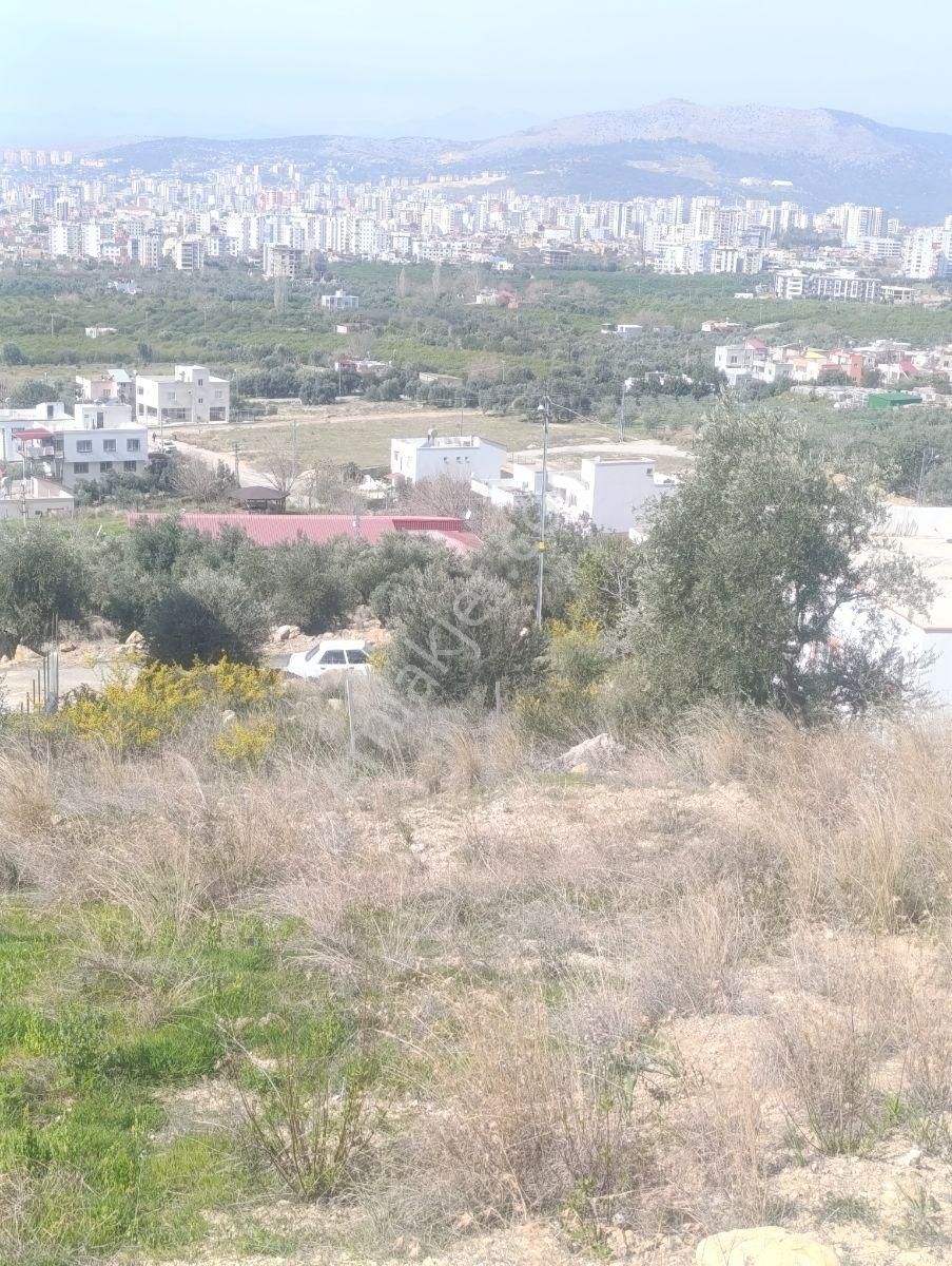 Anadolu Gayrimenkulden 5 Kata İmarlı 397 M² Aslan Paşa - Görsel 16