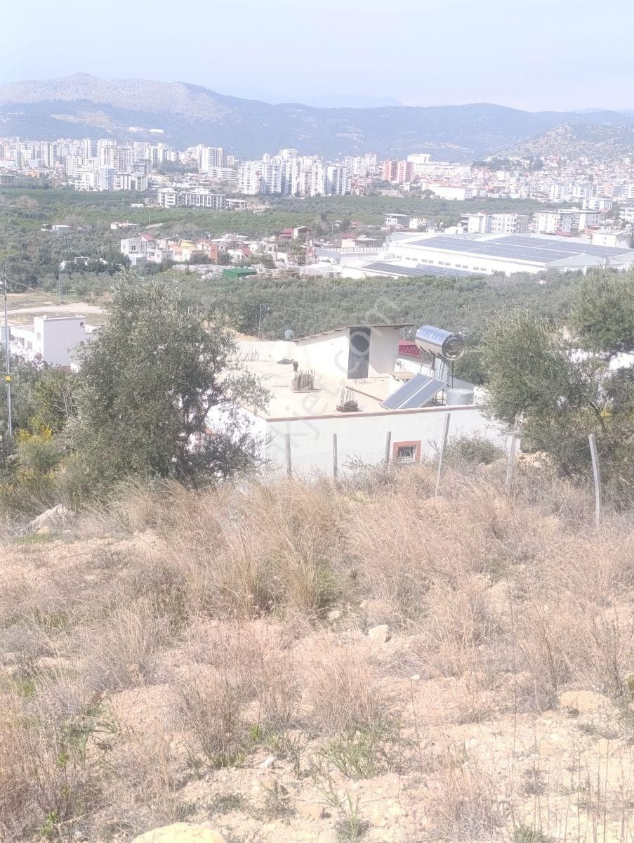 Anadolu Gayrimenkulden 5 Kata İmarlı 397 M² Aslan Paşa - Görsel 17